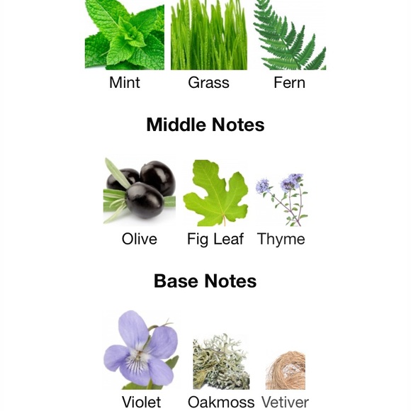 ROADS Bitter End - Picture 2 of 5